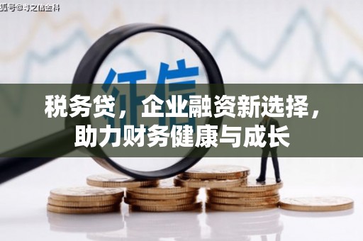 甘孜税务贷，企业融资新选择，助力财务健康与成长