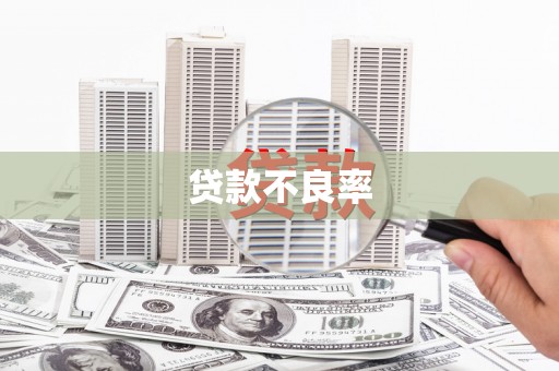 甘孜贷款不良率
