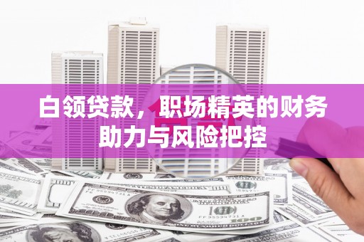 甘孜白领贷款，职场精英的财务助力与风险把控